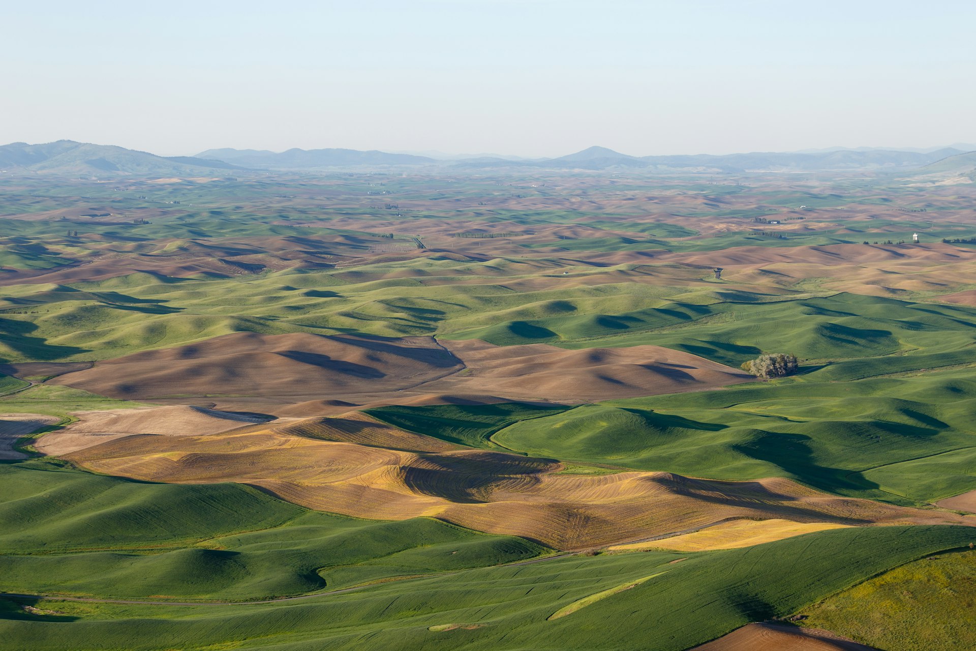 Rolling farmland across the Palouse region
